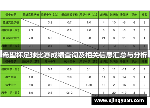 希望杯足球比赛成绩查询及相关信息汇总与分析